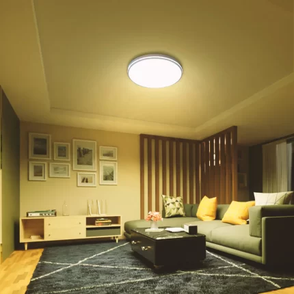 Philips Dome Ceiling Light ( 32W Tunable White )