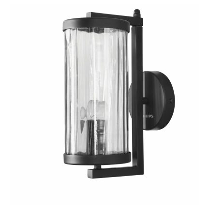 Philips 800020 ZENITH Smoky  Black E-27 IP65